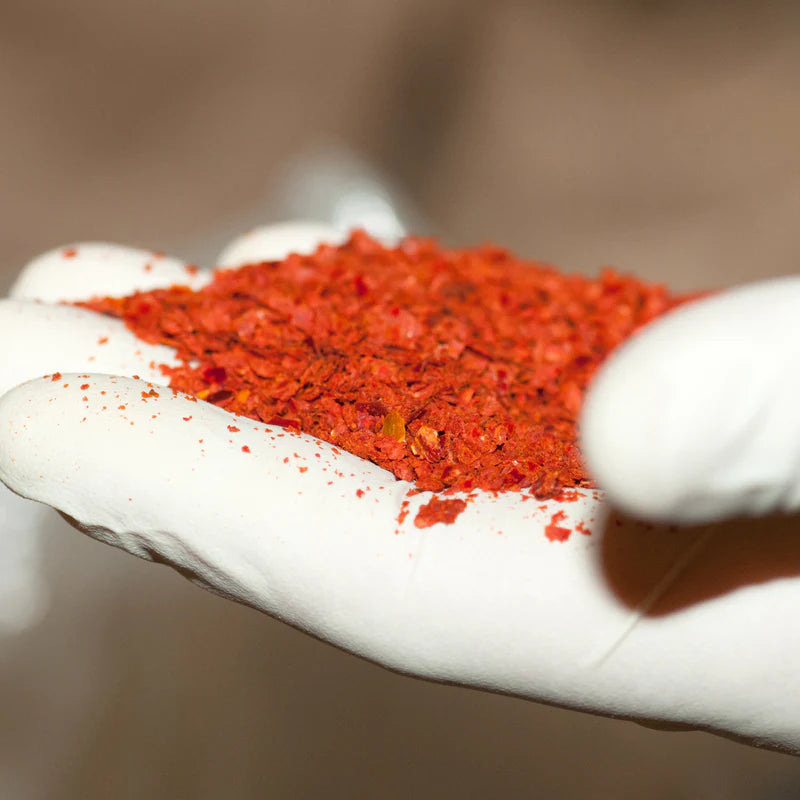 Hand hält rote Chiliflocken in weißem Handschuh.