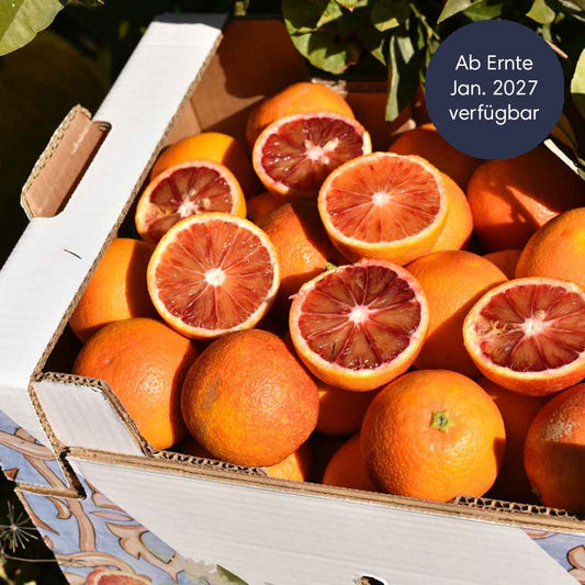 Zitrusfrüchte Saison vorüber