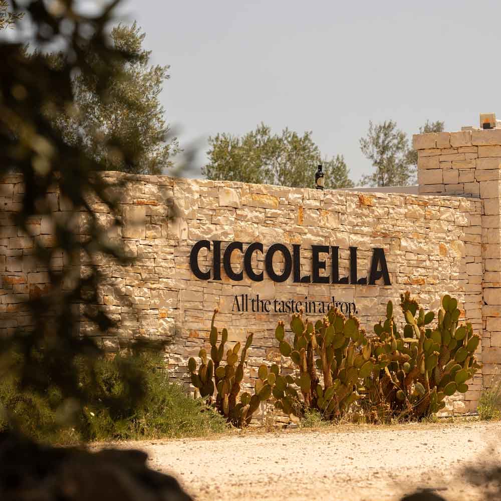 Ciccolella-Cagnara D.O.P. Terra di Bari - Olio Award Siegeröl 2026
