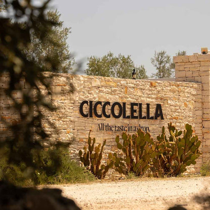Ciccolella-Cagnara D.O.P. Terra di Bari - Olio Award Siegeröl 2026