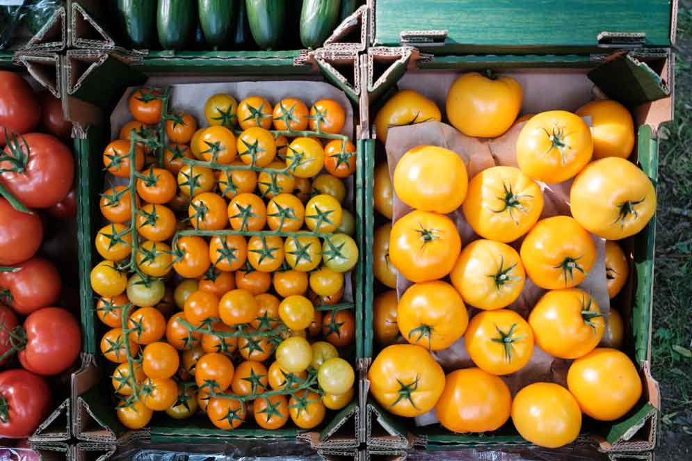 Gelbe Tomaten in einem Karton auf einem Marktstand