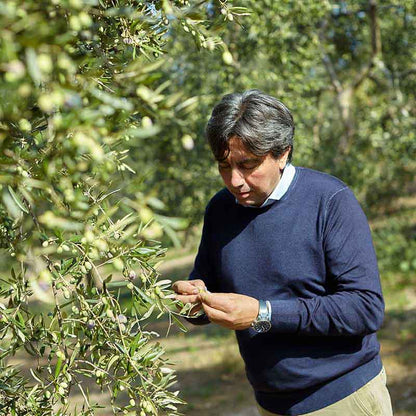 Ciccolella-Cagnara D.O.P. Terra di Bari - Olio Award Siegeröl 2026