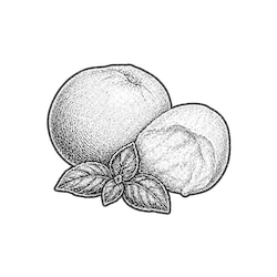 Mozzarella