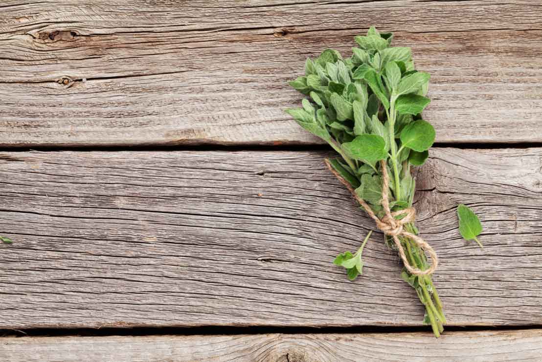 Bündel mit Oregano