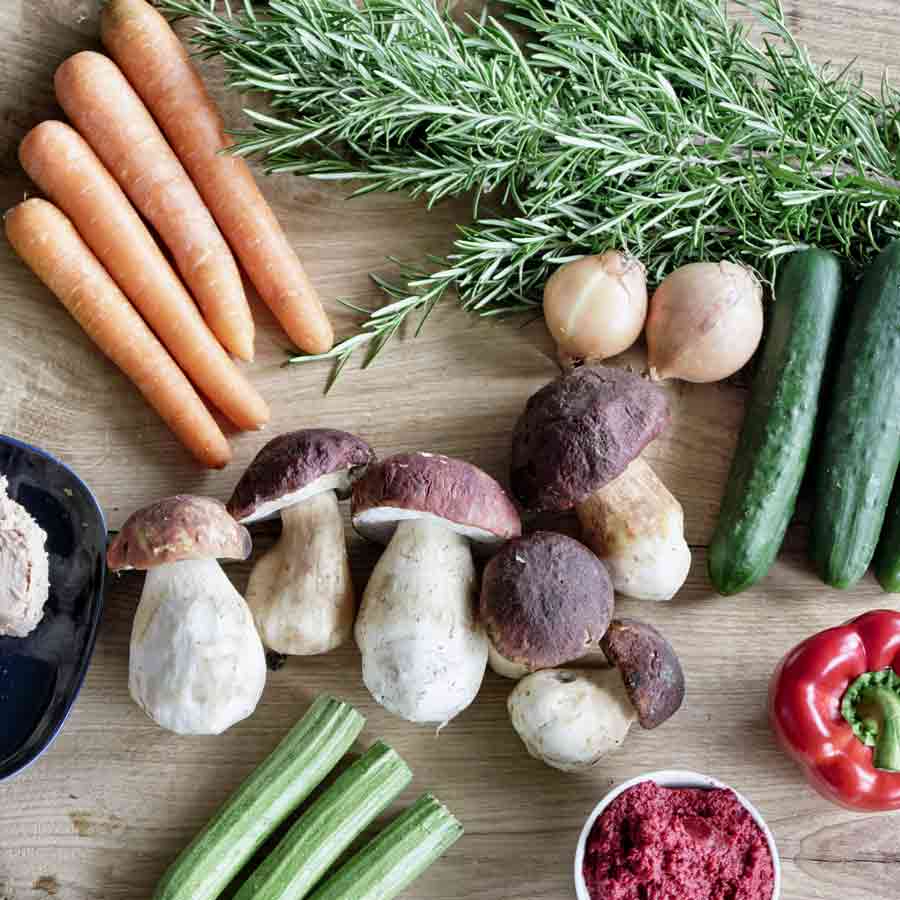 Karotten, Steinpilze, Rosmarin, Zwiebeln, Gurken, Paprika, Rote-Bete-Püree.