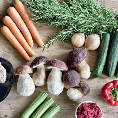 Karotten, Steinpilze, Rosmarin, Zwiebeln, Gurken, Paprika, Gemüse.