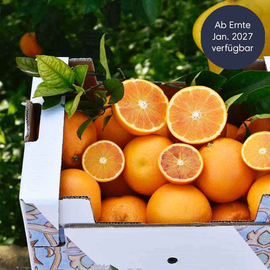 Zitrusfrüchte Saison vorüber