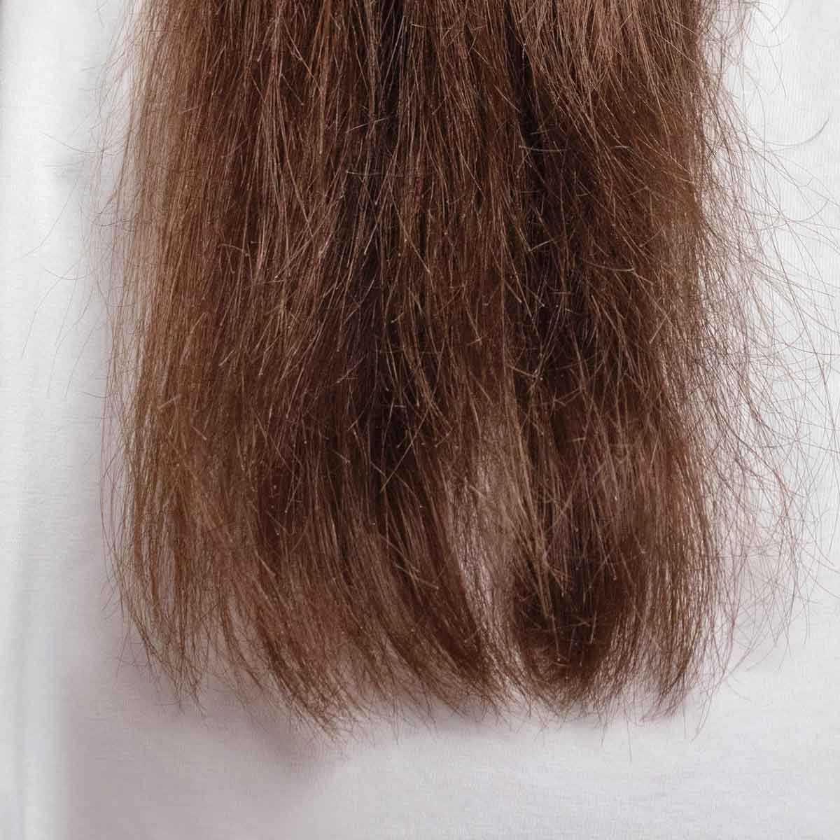 Sprödes Haar