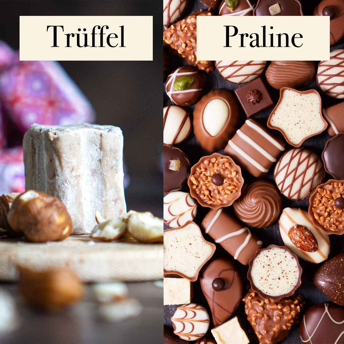 Unterschied Praline und Trüffelpraline