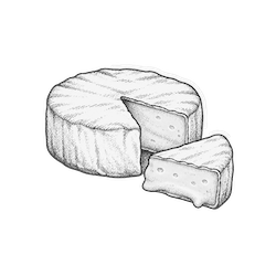 Junger Käse